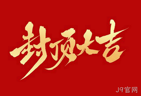 J9官网背光显示模组扩建及智能显示组件新建项目封顶仪式